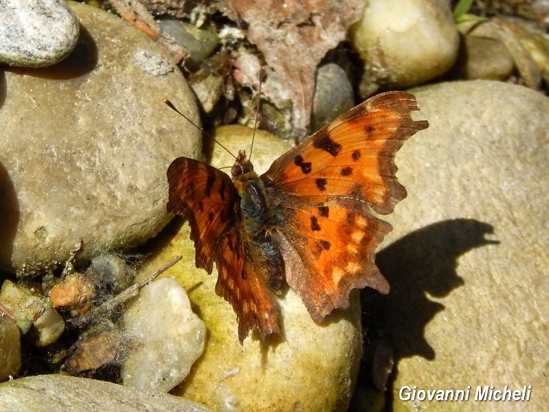 Parco del Ticino incontri del 27.5.15